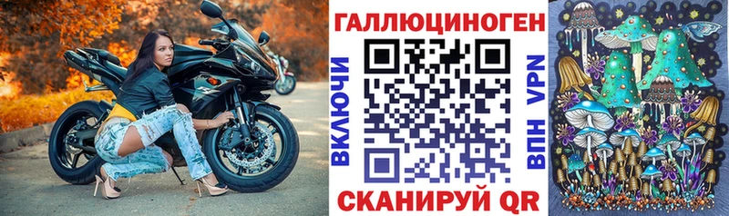 где купить наркоту ОМГ ОМГ как зайти Галлюциногенные грибы мицелий Рудня